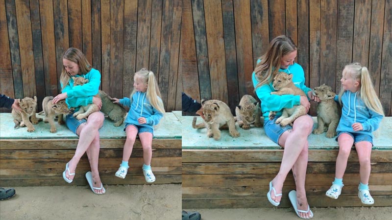 antalya photo with lion cub