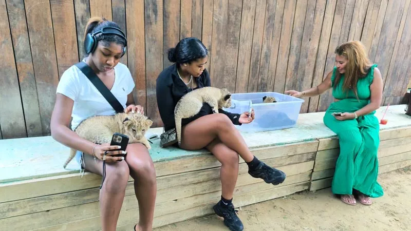 holding-lions in belek and antalya