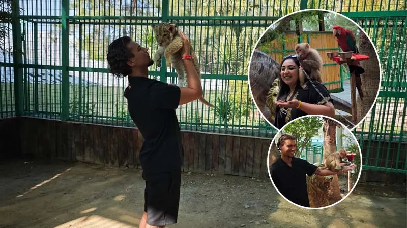 photo-with-lions-in-side