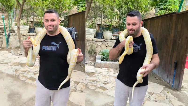 photo-with-snake-in-belek antalya