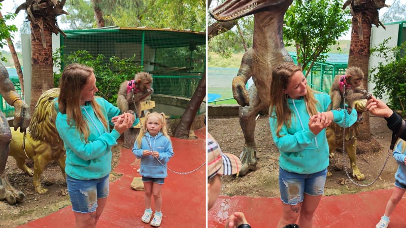 photo with monkey in side