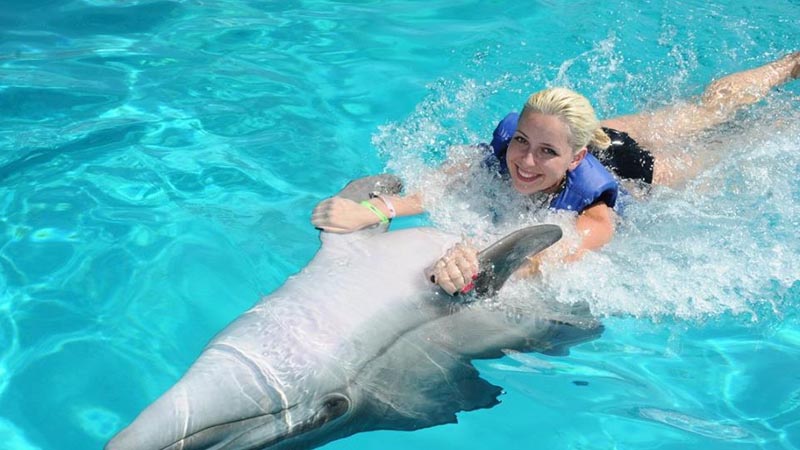 alanya dolphin park price