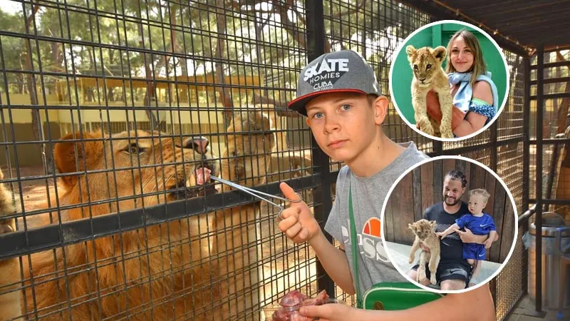 land of lions from kemer