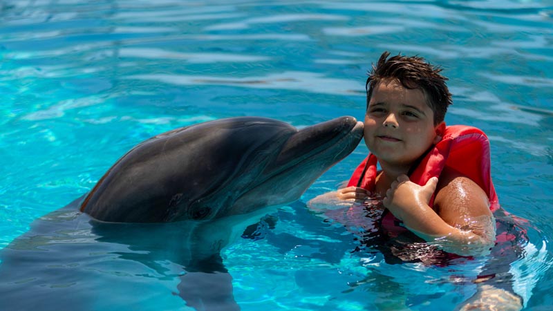 seapark turkler price