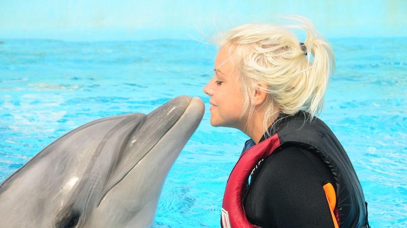 side dolphin swimming price