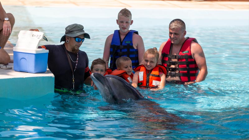 swimming dolphin with kids belek