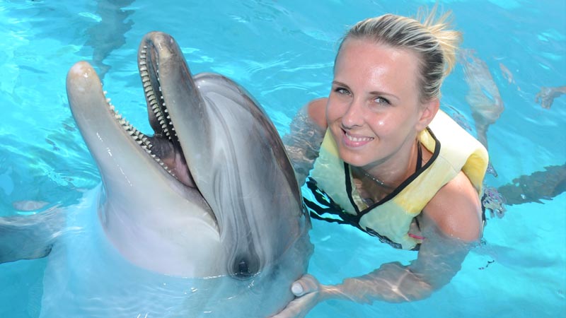 swimming with dolphins in belek recommendation
