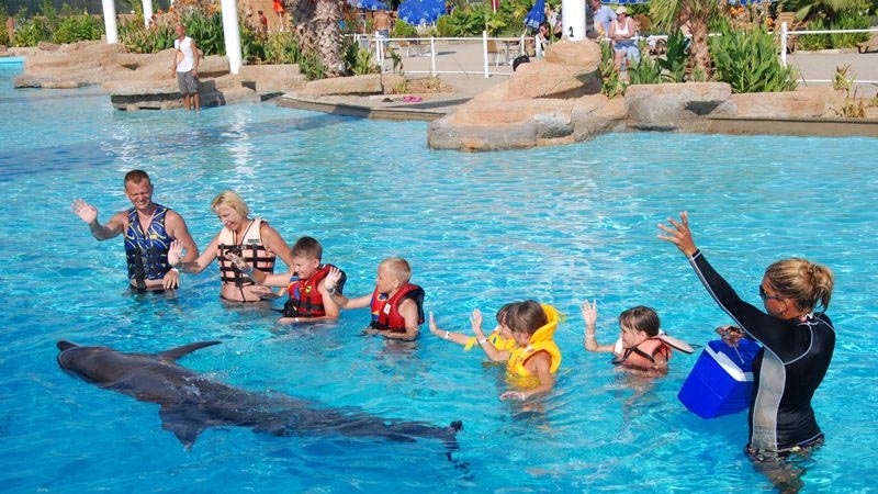 swimming with the dolphins in lara