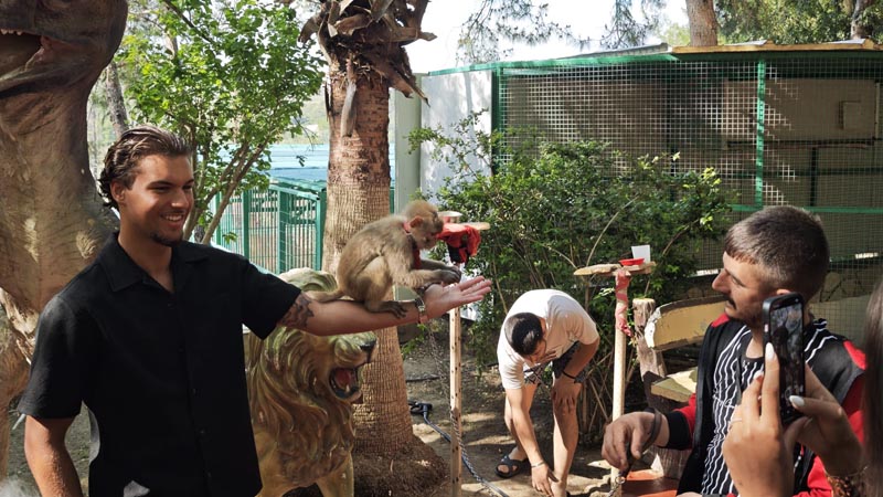 alanya monkey-photo