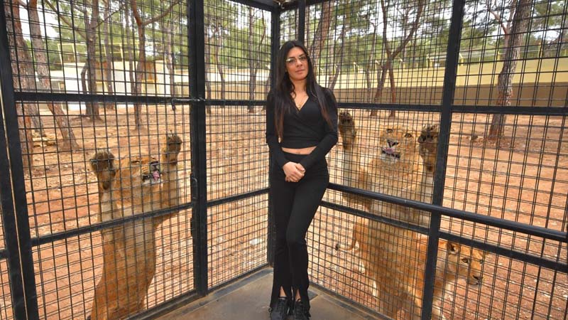 kemer lion safari