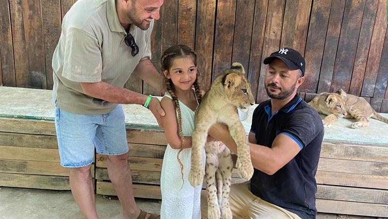 petting lion cubs antalya