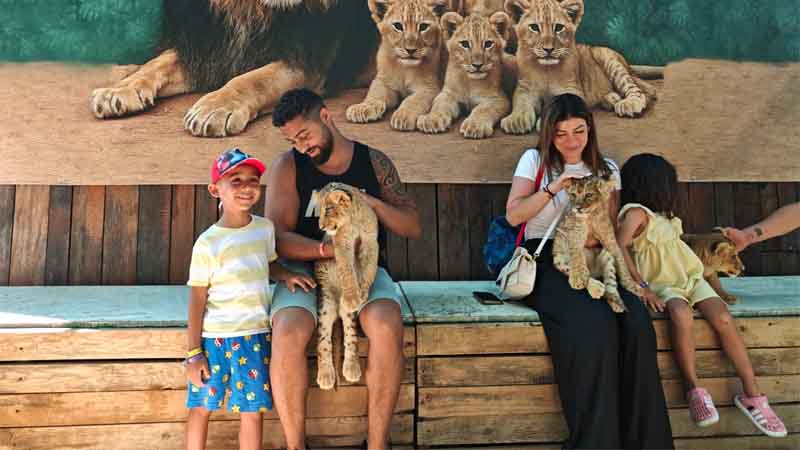 photo with lion cubs on panther safari