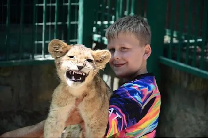 photo with lions in manavgat