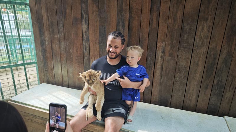 side baby-lions